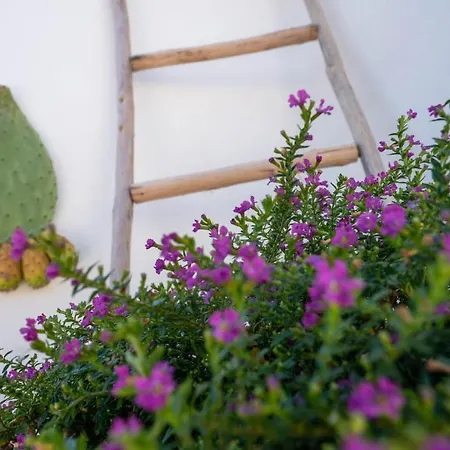 Appartamento Marianna 25