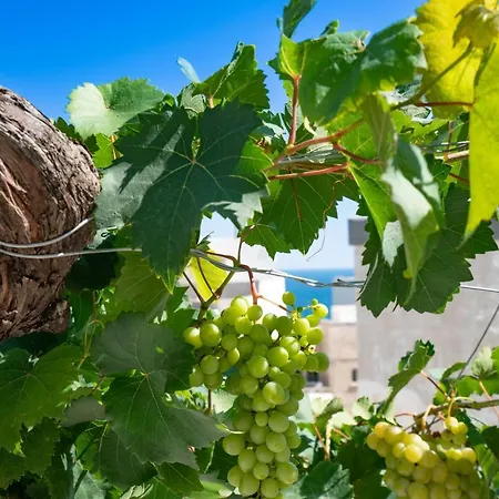 Marianna 25 * Polignano a Mare