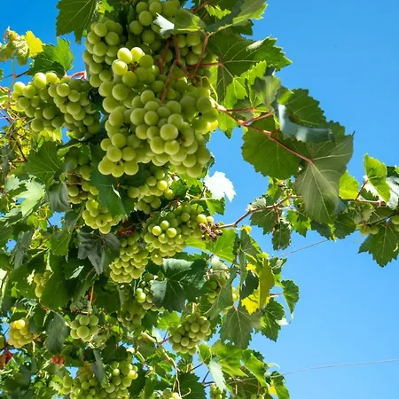 Marianna 25 Appartamento