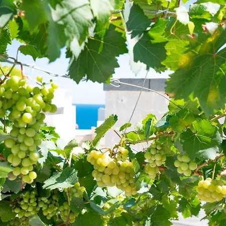 Marianna 25 Polignano a Mare