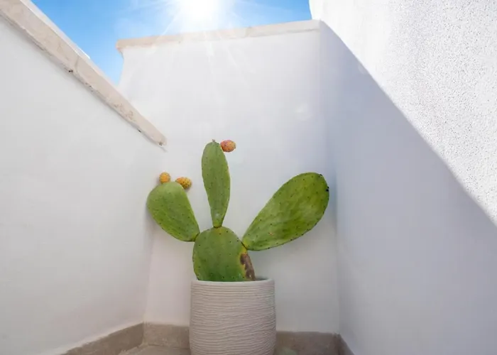 Marianna 25 公寓 *