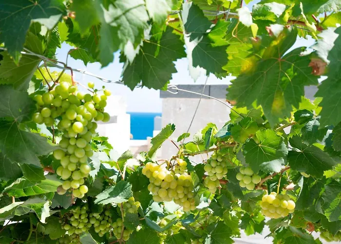 Marianna 25 滨海波利尼亚诺